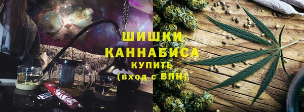 гидра Зеленокумск