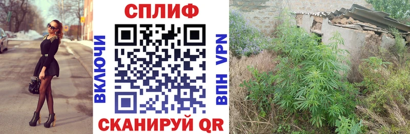 МАРИХУАНА Amnesia  Купить  Удомля 